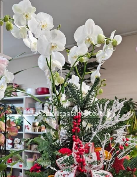 composizione luxury con orchidea 